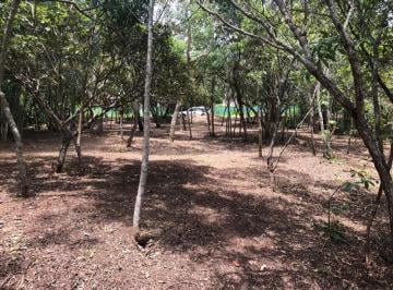 Terreno , Brasília ·  TERRENO SOLAR DA SERRA 1, ESPETACULAR, RUA ASFALTADA C CASA CONSTRUÍDAS !61 991246747