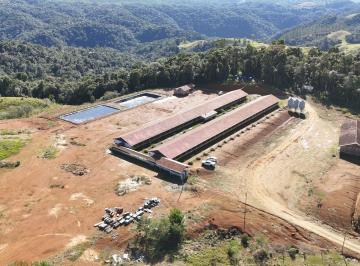 Rural · 22000m² · Granja de Suínos à Venda em Apiúna – SC | Potencial para 6.000 Porcos!