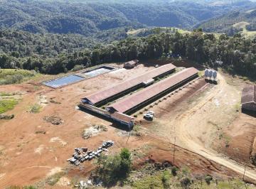 Rural · 22000m² · Granja de Suínos à Venda em Apiúna – SC | Potencial para 6.000 Porcos