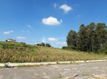 365843_ihD0s7HJV9725o767aN9_36584362178c85259b4.jpg · Terreno no bairro Barra Da Forqueta