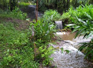 Foto 04 · Venda de Sítio bem localizado na Barra, Cunha-SP, com 3,00 alqueires de área