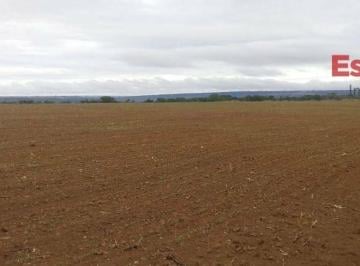 963ccc5b547f61ea32128f5bfae2790f41169202 · Fazenda com 4 dormitórios à venda, 460000 m² por R$ 2.400.000,00 - Paranoá - Brasília/DF