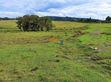 jcplcdc2ntk2ytvjywnhnzfl_md · Venda Área 88 hectares plantio e Pousada em Bom Retiro, Ótimo acesso e local