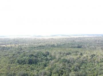 Rural , Cametá · Oportunidade única excelente fazenda em Camatá /PA com 4.317 hectares.10milhões.