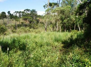 Terreno · 1626m² · Lote em Campos do Jordão - Vila Abernéssia - Campos do Jordão/SP