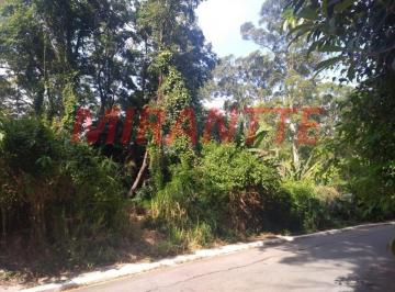 d896e492f7f5066ba90e0f501266b7b0.jpg · Terreno de 100m²