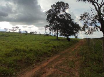 Rural , Rio Quente · FAZENDA À VENDA NA REGIÃO DE RIO QUENTE-GO