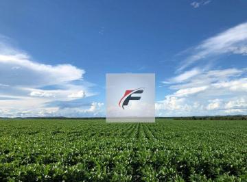 b7d628816bf18e1fbc7f98b877bf33b292b6e503 · Fazenda à venda, 2662000 m² por R$ 24.000.000,00 - Centro - Ibaiti/PR