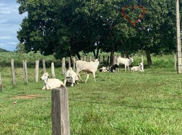 2022/03/3134347b997e9122f50a62d2d6803112.jpg · RURAL - CENTRO