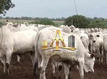 e3732f5f98a8aa6f6799d0800f7f65854b3fa9e9 · Fazenda com 1 dormitório à venda, 112000000 m² por R$ 650.000.000,00 - Mansões Concordia - Unaí/MG