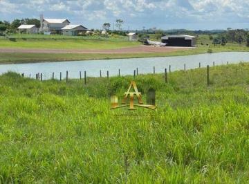 5ffa041198e12b34cd731b9cd606d52e0f027859 · Excelente Fazenda à Venda na Região de Santa Inês/MA - Confira!
