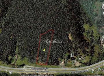 a9555d152f366ef30098c35b3a7360f490c4b3d1 · Terreno à venda, 22304 m² por R$ 2.870.000,00 - Itaquaciara - Itapecerica da Serra/SP