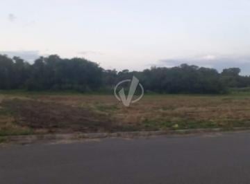 Terreno · 340m² · Lote à venda, Parque São Domingos - Pindamonhangaba/SP