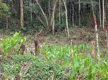 Terreno , São Lourenço da Serra · EXCELENTE TERRENO PRÓXIMO AO PEDÁGIO COD: 4633 F:(11) 97302-9229 CESAR