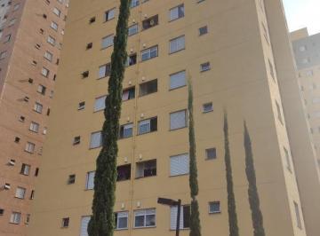Foto 25 · Apartamento - Jardim Tupã