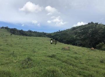 44daf8ec44d8986d8a20d492de541a3854e348c3 · Sitio com 21 Hectares na Região de Tabuleiro!