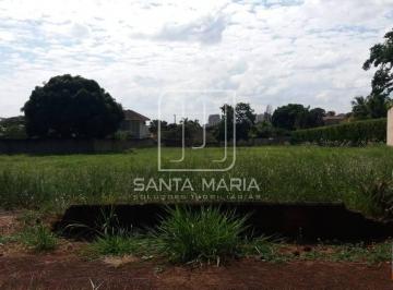 Terreno/Lote · Terreno (terreno normal)