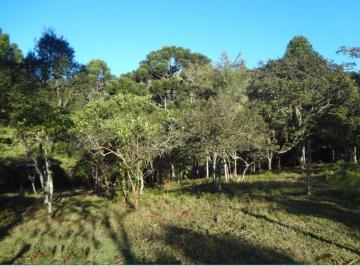 terreno · Terreno, Visconde de Mauá, Resende, RJ