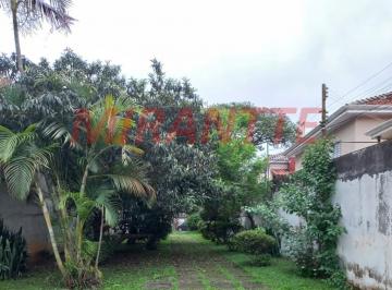 fa2aae2ade9ae0be9e9982764e675171.jpg · Terreno de 156.5m²