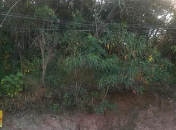 Foto 01 · Terreno de 1.200m² à venda em condomínio exclusivo na Granja Viana II, Cotia-SP!