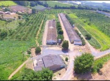 Foto 01 · Sítio 7 Alqueires, 3 Pavilhões com 60 Mil Frangos, Casa Sede, Ótima Localização, Estuda Parte em Per