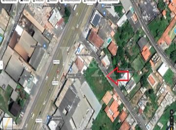 Foto 02 · Área para construção de villages em Abrantes