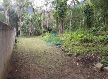 Terreno · 5330m² · Área, Sertão da Quina, Ubatuba - R$ 950 mil, Cod: 1710