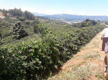 Photo_0 ·
Fazenda com 90 mil pés de café _Altitude acima 940 m _ Região de Caconde/SP e Plame