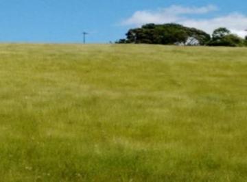 Foto 01 · Área em Araçoiaba da Serra-SP, área no interior de SP, ideal p/ construção condomínio ou indústria, 