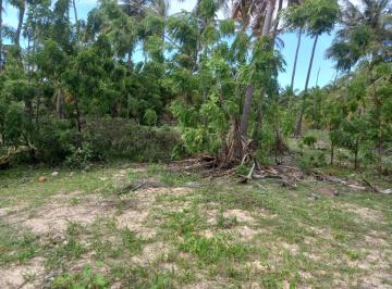 Terreno , Trairi · Terreno urbano na praia de Guajiru -Trairi - Ceará.