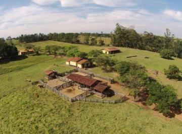 Foto 01 · EXCELENTE FAZENDA EM CANA NA REGIÃO DE TATUÍ - SP ?? Área Total: 80 Alqueires Área em Cana: 50 A