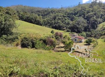 Foto 19 · FAZENDA 60 ALQUEIRES COM PLANTAÇÃO DE EUCALIPTO EM SALESÓPOLIS!