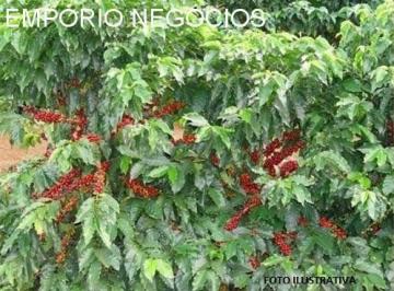 Foto 01 · Fazenda venda. Empório Negócios vende fazenda café na região de Guaxupé - MG.