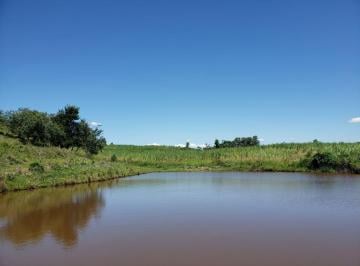 Foto 01 · Sítio 23 Alqueires, Rico em Água com Lago com Peixes, Fácil Acesso, Ótima Localização, 80% Aproveita