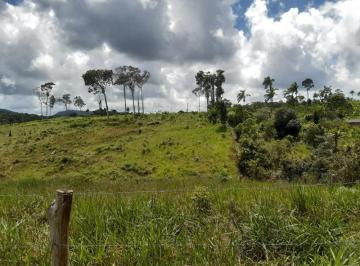 Foto 01 · Fazenda à venda em Aritaguá-BA, 42 hectares, próximo ao Parque Estadual do Conduru e belas praias de