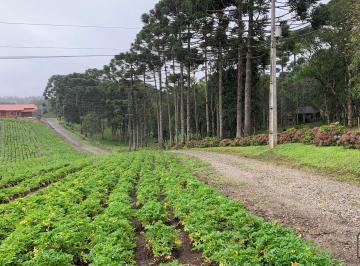 Rural · 51238m² · 2 Quartos · 1 Vaga · Chácara em Campo Alegre - SC