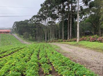 Rural · 51238m² · 2 Quartos · 1 Vaga · Chácara em Campo Alegre - SC