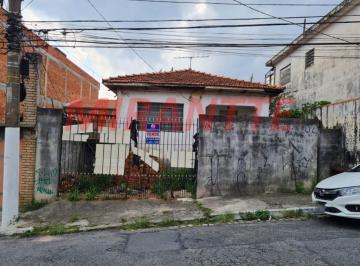 636ec25933d00b9e3c2fe337a0fae062.jpg · Terreno