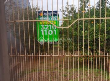 368905_iD87x1RY3c61o081W_36890562b31a789aa6b.jpg · Terreno no bairro Lomba do Pinheiro