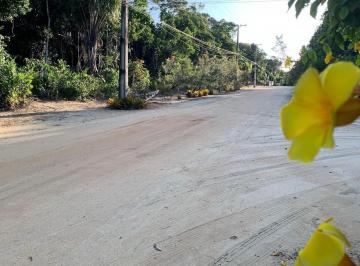 Terreno en Venda  Coroa Vermelha · Coroa Vermelha lote mil metros