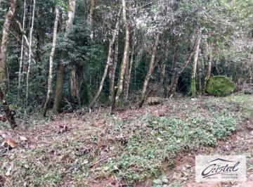 17a7e92dc297b4a12a5107b1719598f09cf83306 · Terreno Residencial à venda, Caucaia do Alto, Cotia - .