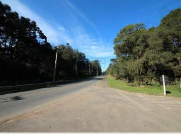 Terreno · 2500m² · TERRENOS 4 BARRAS