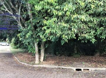 Foto 03 · Terreno à venda em Porto Alegre-RS, bairro Ipanema, 418,75 m² de área. Aproveite esta oportunidade!