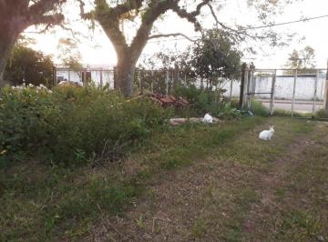 Terreno · 2395m² · TERRENO para construção de casas ou predio residencial