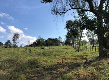 Foto 01 · Terreno 45.000m2 c/ ótima topografia, terra de cultura e água nos fundos em Piracema/MG
