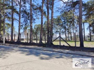 60600b318c5b2eb5f085d36a6be448f8e1bd5e4b · Terreno para alugar, 18000 m² - Embu das Artes - Embu das Artes/SP
