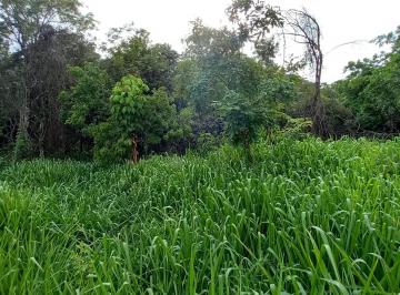 9745bd725e2b99d695a919a824a56912d156f382 · Terreno à venda, 1000 m² por R$ 323.980,00 - Lagoa Mansões - Lagoa Santa/MG
