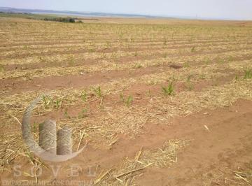 20240529111650627342.jpg · Fazenda para Venda em Torrinha, zona rural, 2 dormitórios