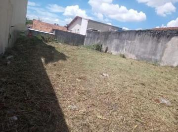 202505142325387594.jpeg · Terreno para Venda em São Paulo, Jardim Avelino