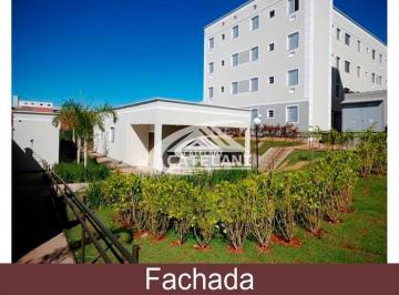 Apartamento · 2 Quartos · APARTAMENTO SÃO JOSÉ DO RIO PRETO - SP